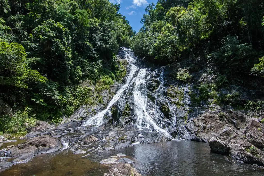 Exclusive Daintree Rainforest Private Tour