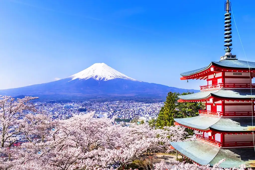 1-day Tour To Mount Fuji, Oshino Hakkai | With Outlets Or Hot Springs