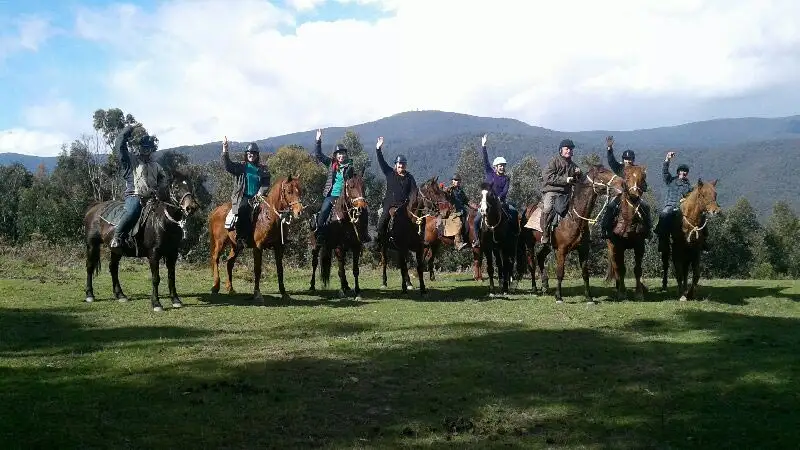 Yarra Valley Wine Tasting & Horse Trail Ride