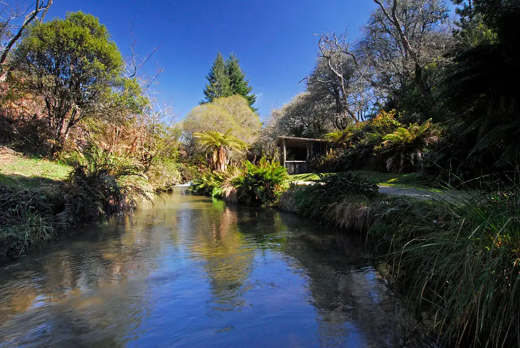 Te Wairoa Buried Village - Day Pass