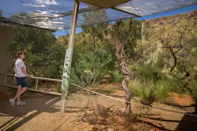 Alice Springs Desert Park - Day Entry