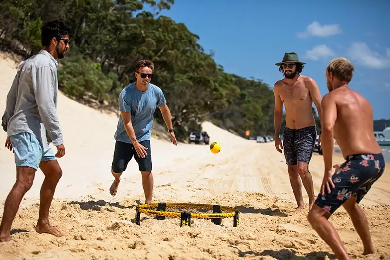 Moreton Island Dolphin & Tangalooma Wrecks Day Tour