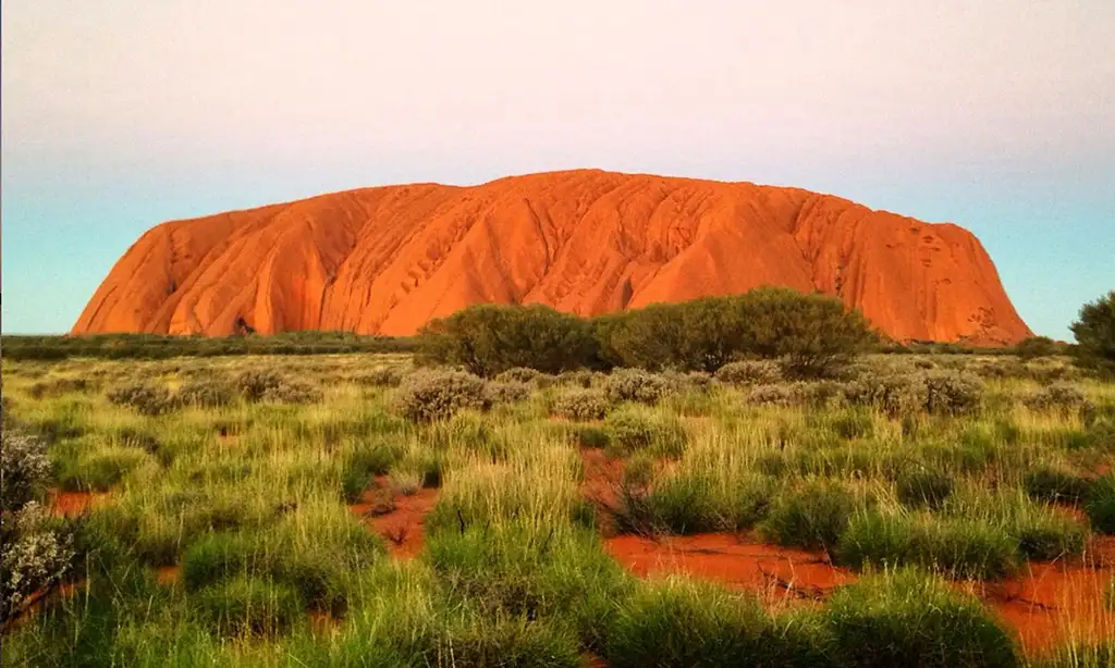 Uluru Guided Tour with Sunset Sparkling Wine & Canapes