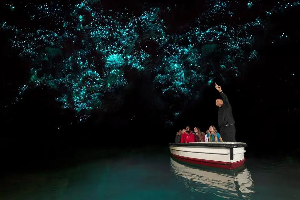 Waitomo Caves Boat Tour | Waitomo Glowworm Caves NZ