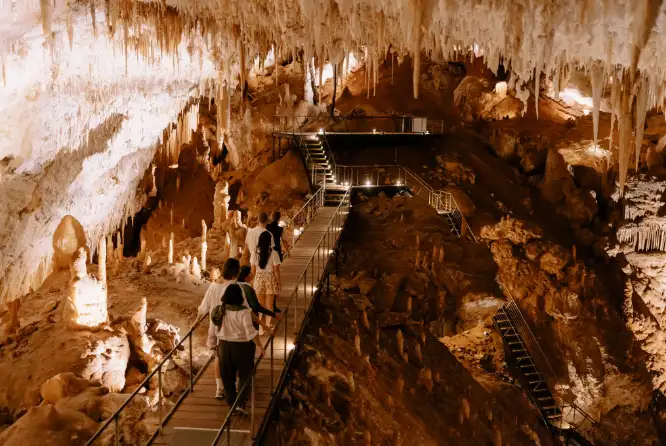 Jewel Cave Fully Guided Tour