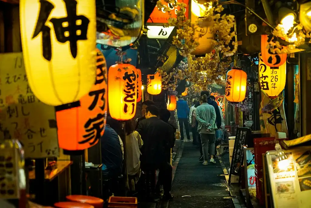 Bar-Hopping Night Tour In Shinjuku