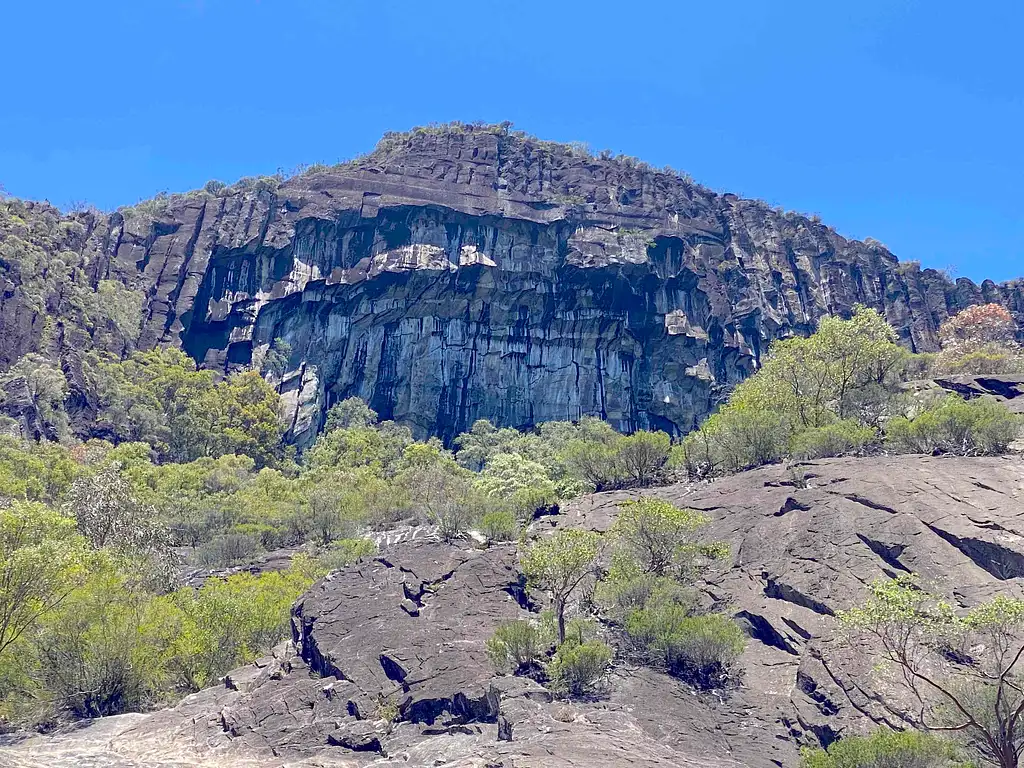 Australia Zoo - Glass House Mountains Tour from Sunshine Coast