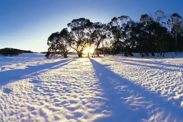 Lake Mountain Snow & Waterfalls Day Trip from Melbourne