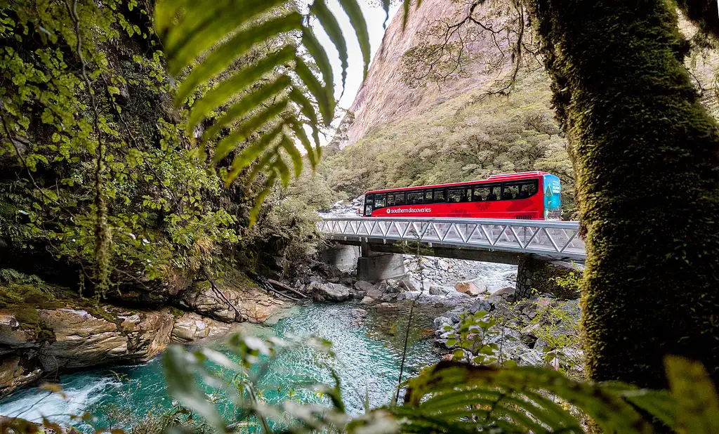 Milford Sound Coach | Cruise | Fly From Queenstown