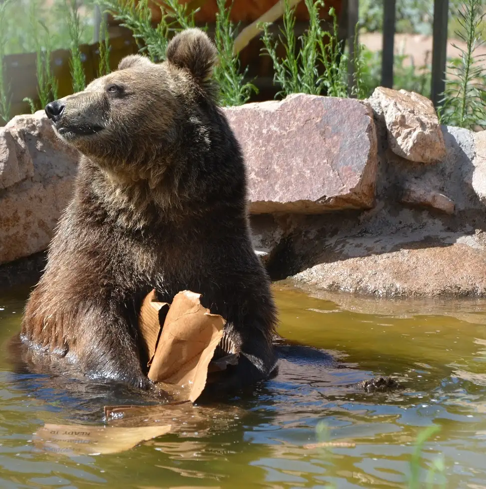 Keepers of the Wild Nature Park & Route 66 Experience