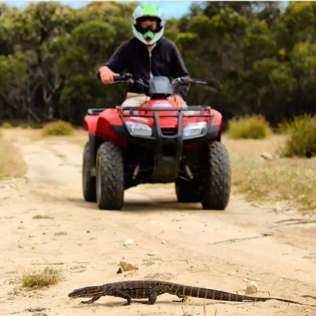 Kangaroo Island Quad Bike Adventure - All Terrain