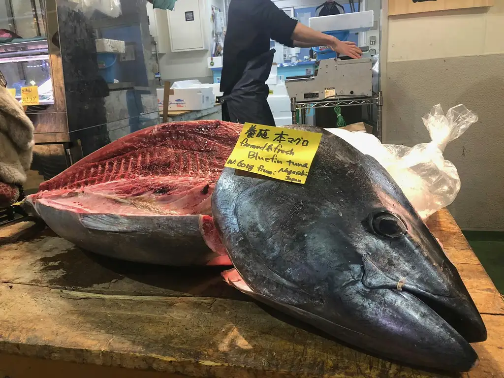 Morning Guided Tour of Tsukiji Fish Market With Breakfast