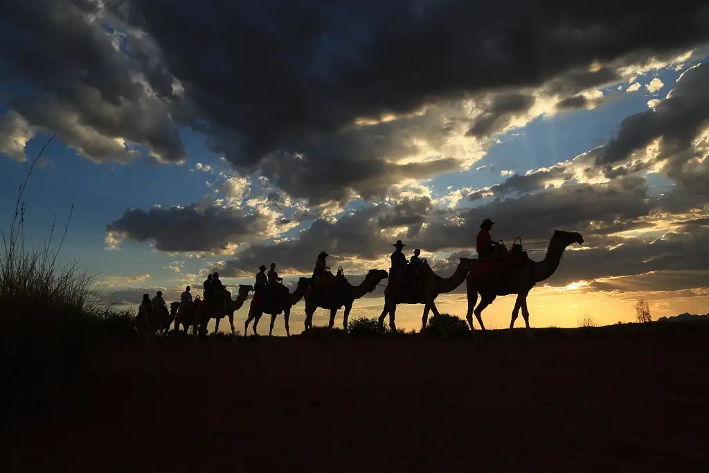 Uluru Sunset Camel Ride Experience