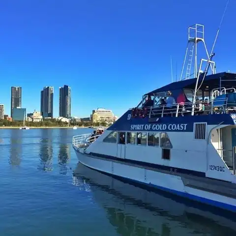 Whale Watching Gold Coast Tour