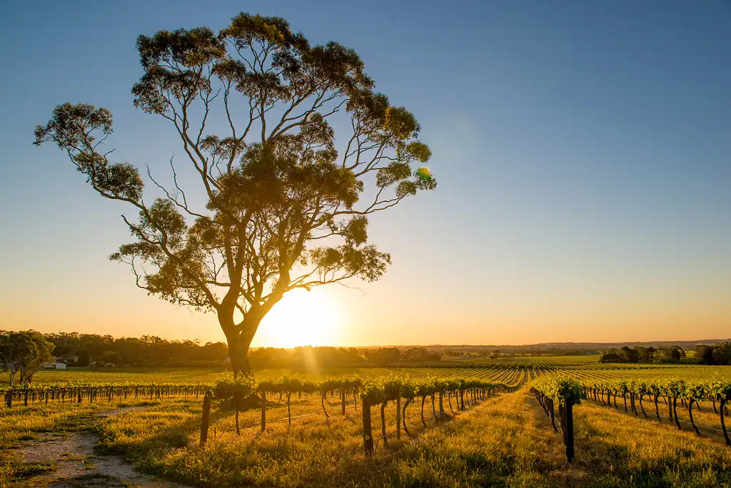 Hunter Valley Signature Wine Tour