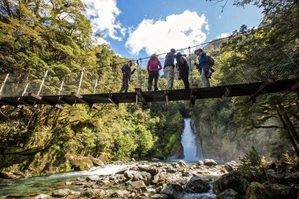 Milford Sound Cruise & Milford Track Walk