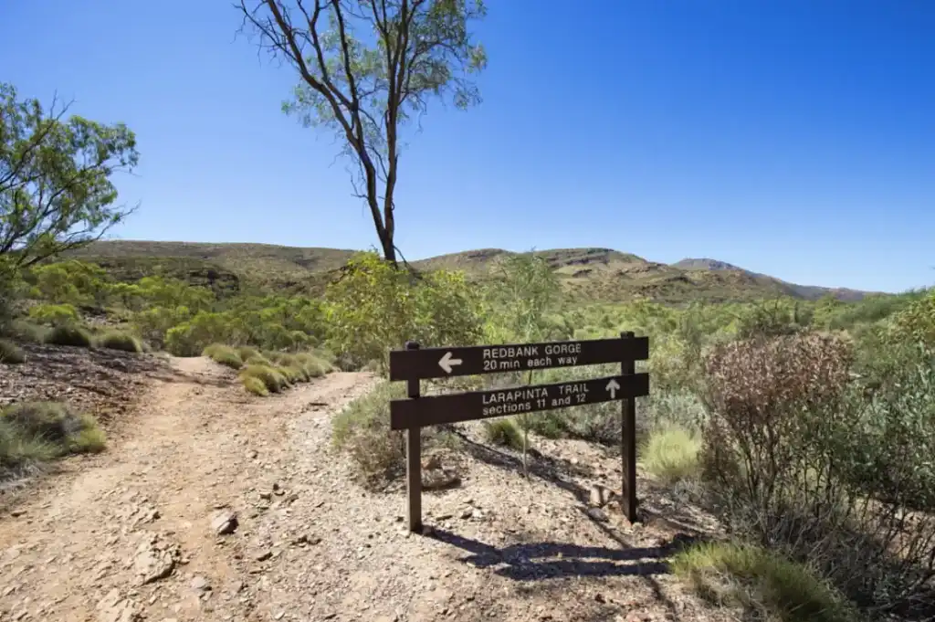 Larapinta Trail 5 Day Trek - Twin Share Safari Tent from Alice Springs