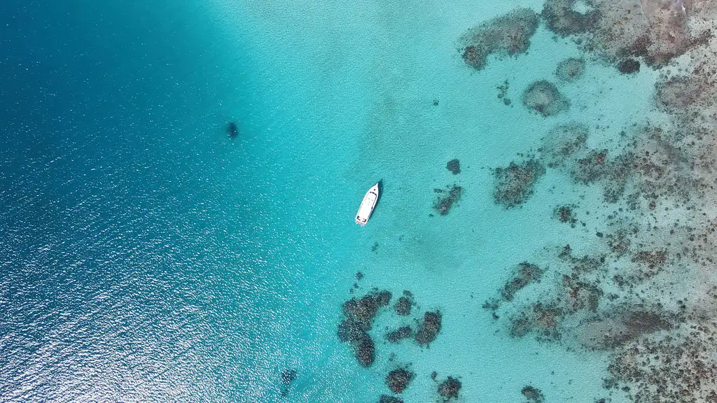 Outer Reef Guided Snorkelling from Port Douglas  - Maximum 12 people