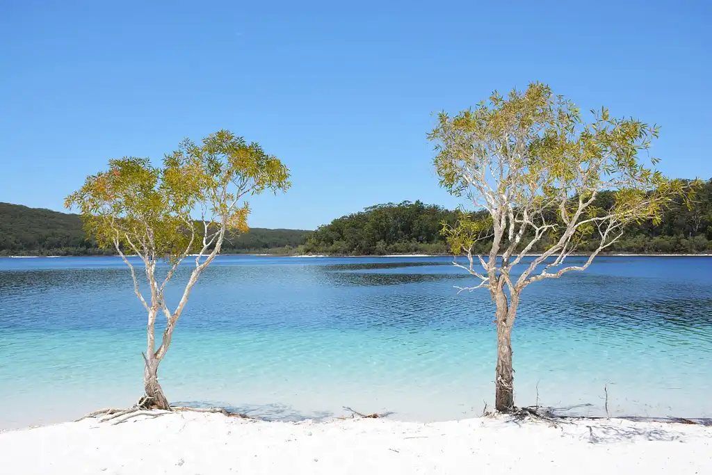 4 Day K'gari (Fraser Island) Experience | Resort Stay | From Hervey Bay