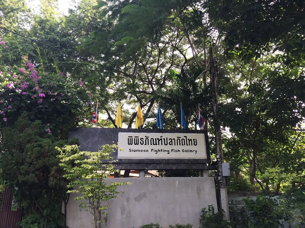 Bike Tour of Bangkok’s Green Lung