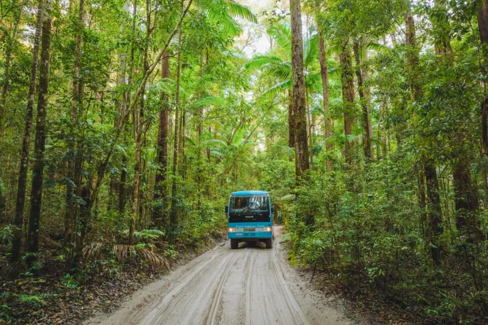 4 Day K'gari (Fraser Island) Experience from Hervey Bay | Resort Accommodation