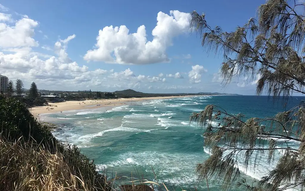 Noosa Everglades Cruise & Highlights Private Tour with Lunch