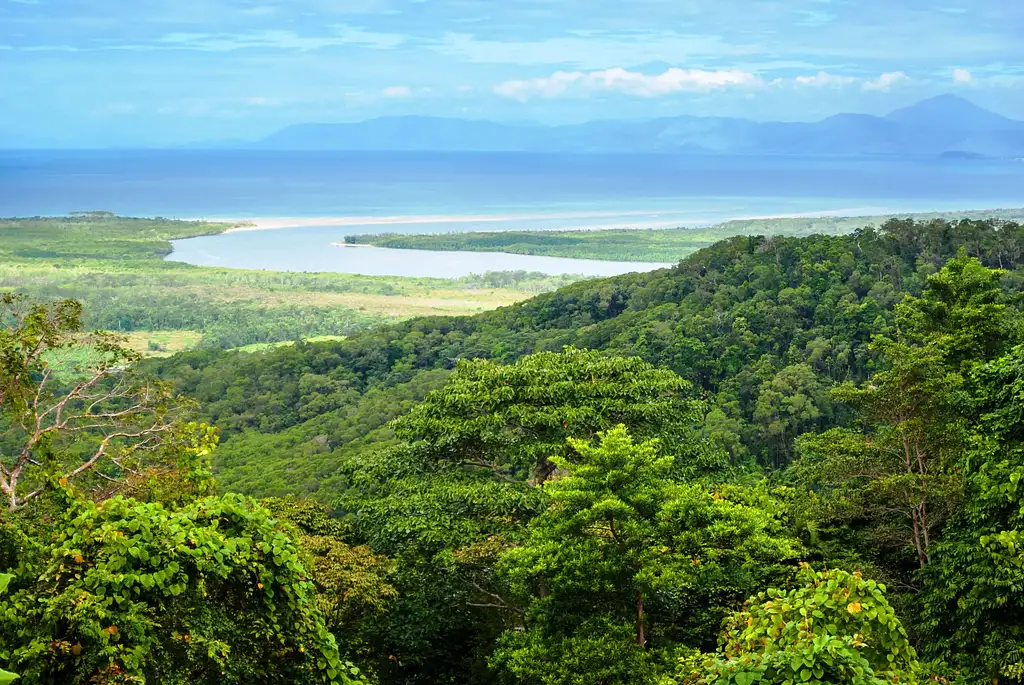 2 Day Cape Tribulation Tour From Cairns