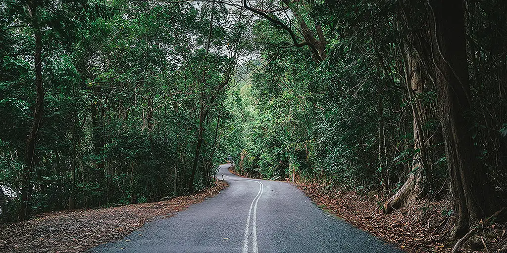 Premium Daintree & Cape Tribulation Day Tour