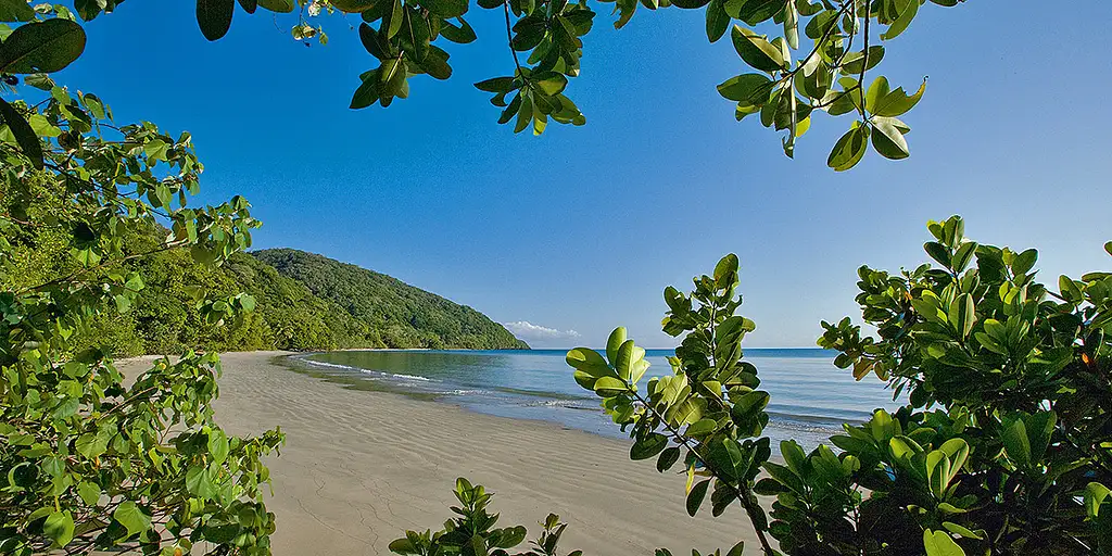 Premium Daintree & Cape Tribulation Day Tour