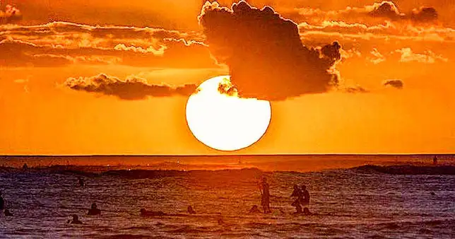 Waikiki Glass Bottom Boat Sunset Cruise