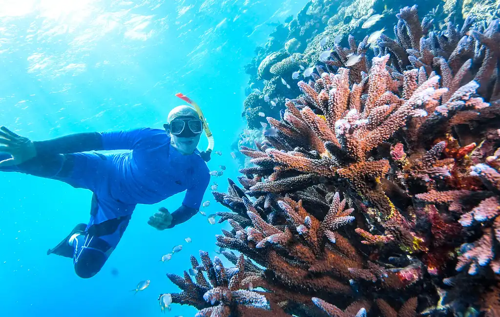 Cairns to Great Barrier Reef Cruise | Reef Magic Cruises