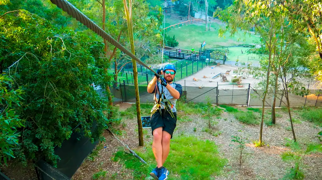 Treetop Challenge Currumbin Wildlife Sanctuary