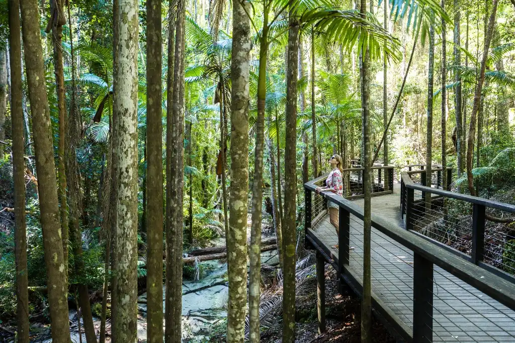 3 Day K'gari (Fraser Island) Getaway Tour | Resort Stay | From Hervey Bay