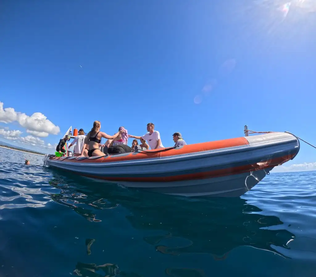 Swim with Turtles Gold Coast | Gold Coast Snorkel