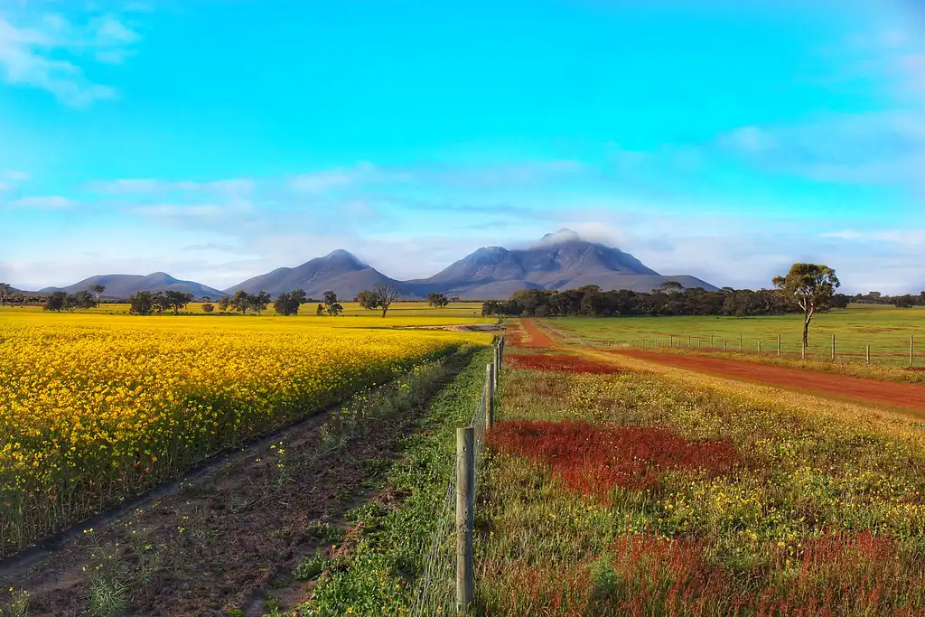 Perth to Adelaide 9 Day Wildlife Adventure