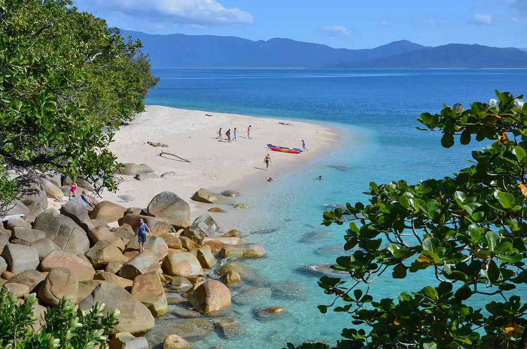 Fitzroy Island Half Day Tour