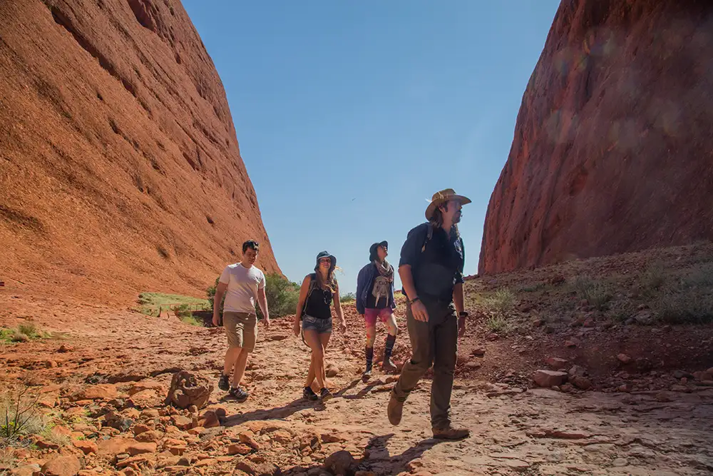 4 Days Uluru and Kings Canyon Tour from Ayers Rock or Alice Springs (Galah)