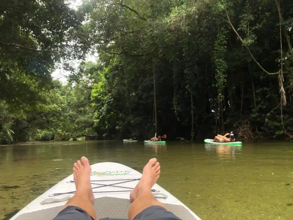 Magical Daintree Rainforest SUP Tour