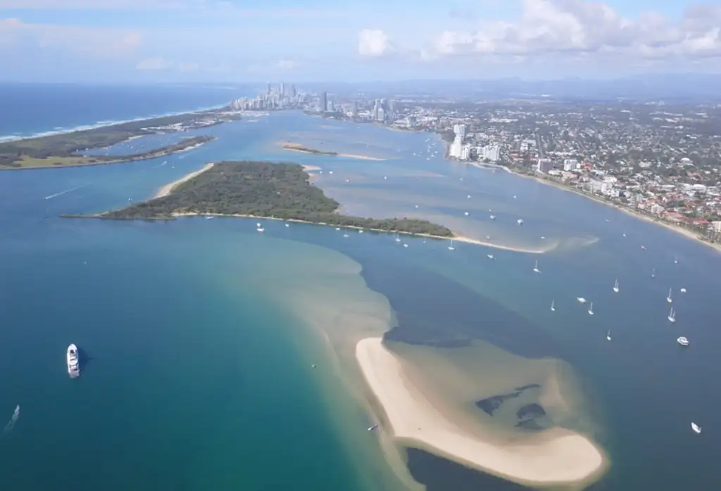 Pelicans and Picnic Cruise | Surfers Paradise to Wavebreak Island