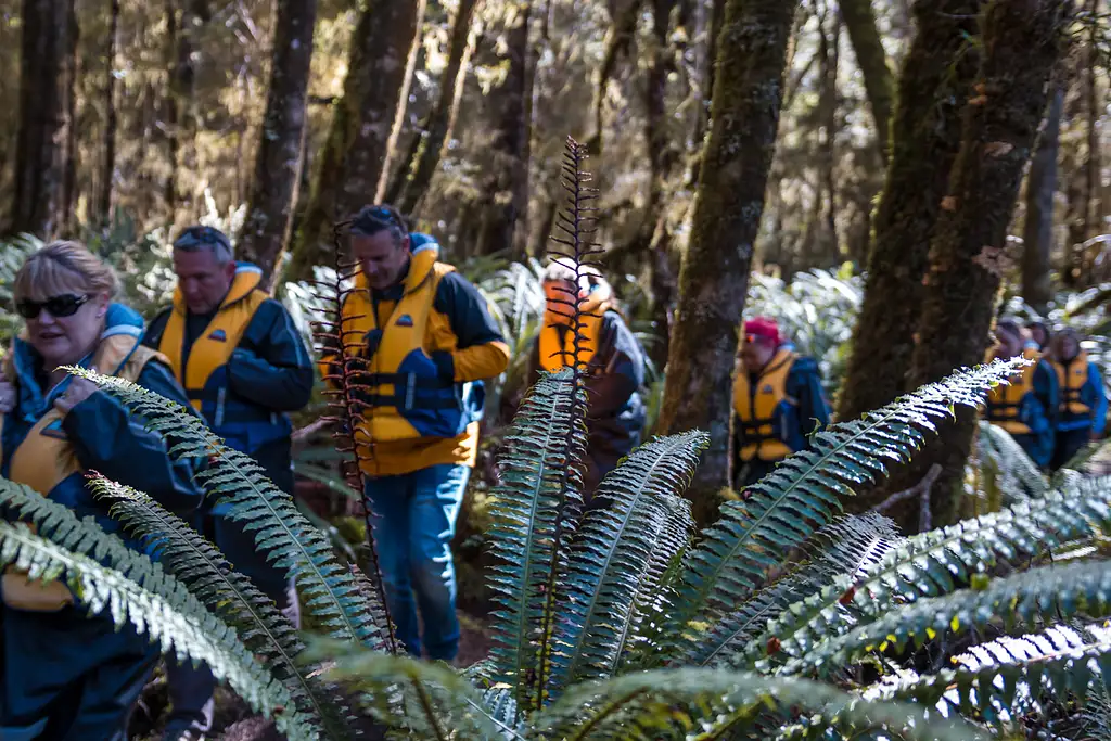 Pure Wilderness Jet Boat Tour