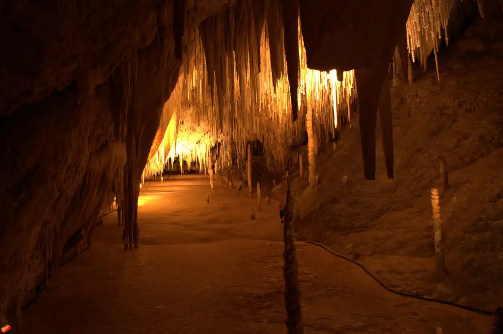 Tahune Airwalk & Hastings Cave From Hobart