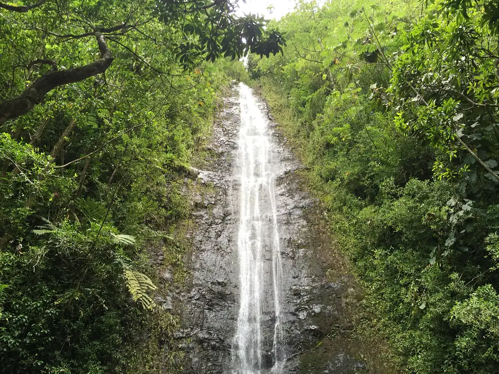 Hawaii Rainforest Hike