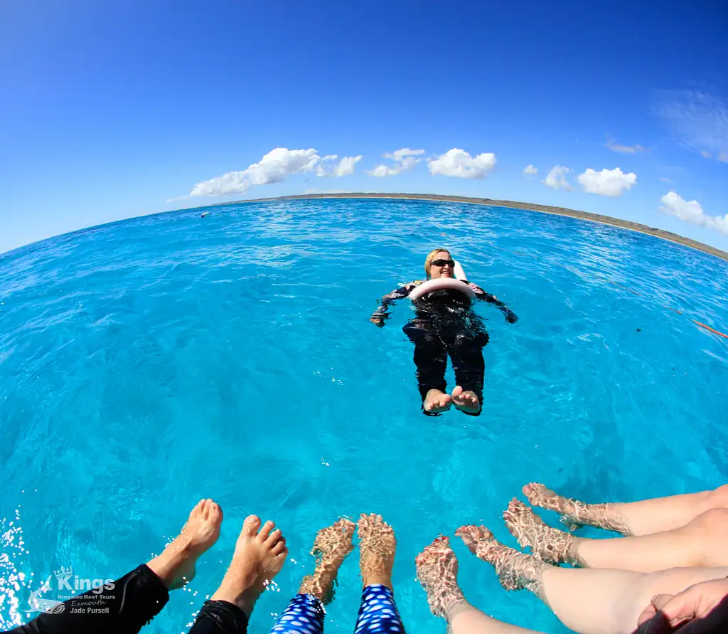 Whale Shark Snorkelling Adventure Tour (March-July) | Departing Exmouth