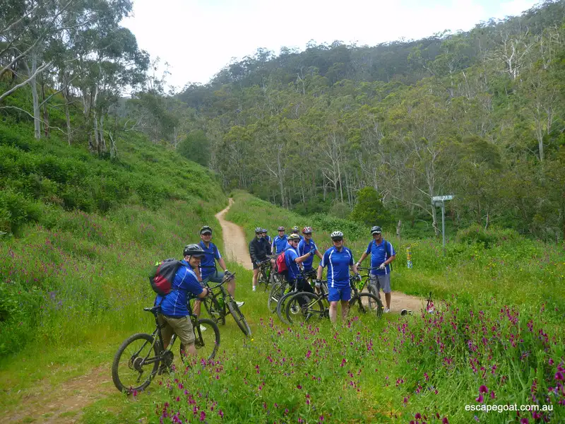 Mount Lofty Bike Tour