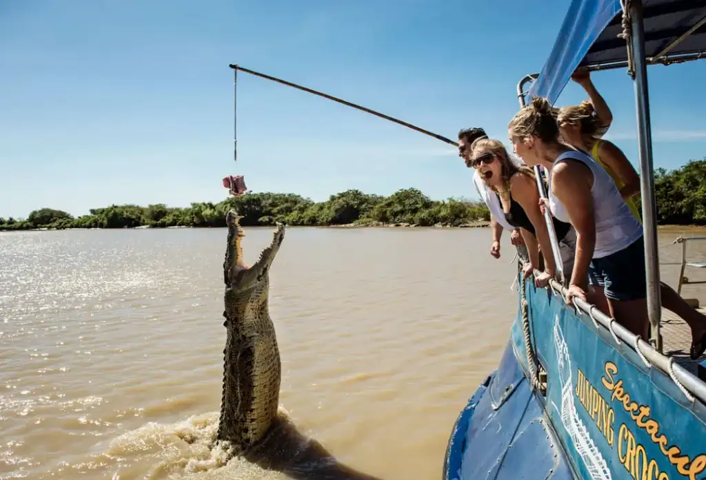 Jumping Crocodile Tour from Darwin - TNT24OCTSALE