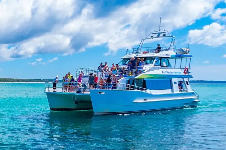 Jervis Bay Dolphin & Boom Netting Cruise