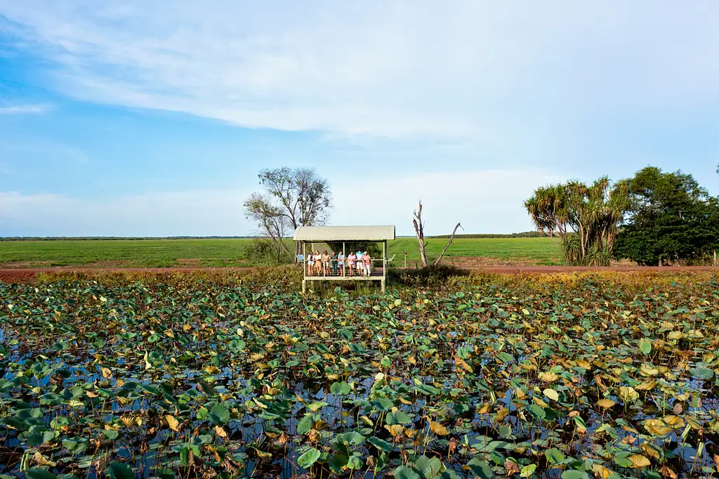 4 Day Kakadu & Katherine Gorge Experience | From Darwin