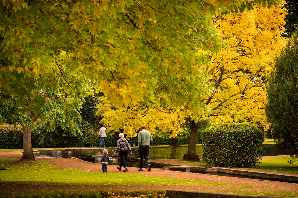 Mount Field to MONA Day Tour | From Hobart