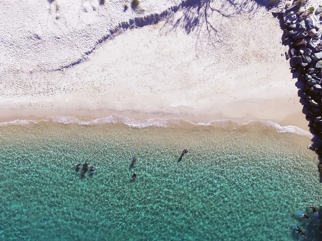 Gold Coast Single Dive