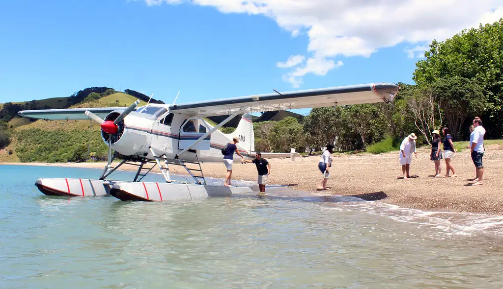 Great Barrier Island Flight Transfer From Auckland